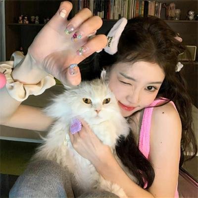 绝望主妇第三季
